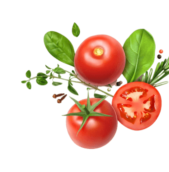 Indian Desserts in Cary, NC