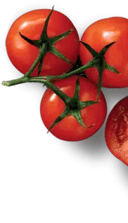 Food Takeout in Cary NC